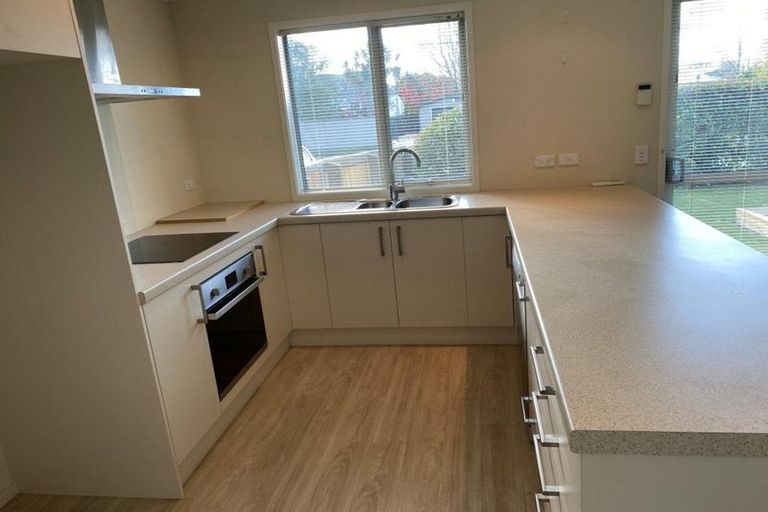 Photo of property in 82 North Avon Road, Richmond, Christchurch, 8013