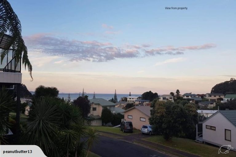 Photo of property in 212 Russell Bruce Place, Onemana, Whangamata, 3691