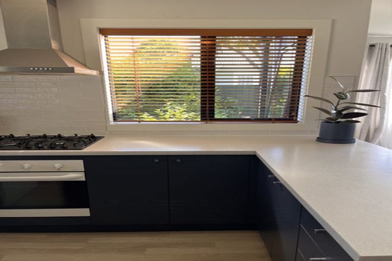 Photo of property in 137 Mcfaddens Road, St Albans, Christchurch, 8052