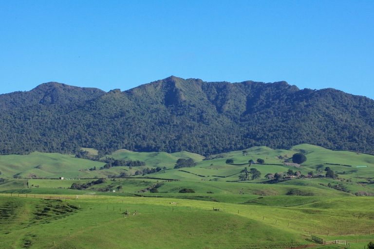 Photo of property in 58 Munns Road, Raglan, 3296