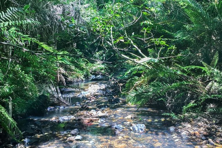 Photo of property in 89 Bethells Road, Waitakere, Auckland, 0782