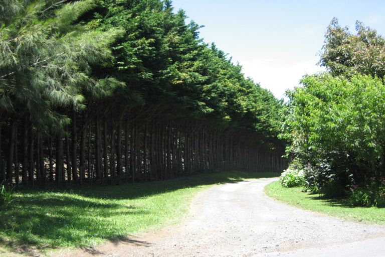 Photo of property in 31b Wallace Drive, Clarks Beach, Pukekohe, 2679