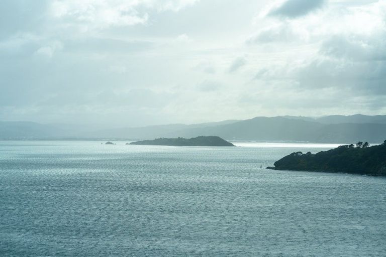 Photo of property in 142 Grafton Road, Roseneath, Wellington, 6011