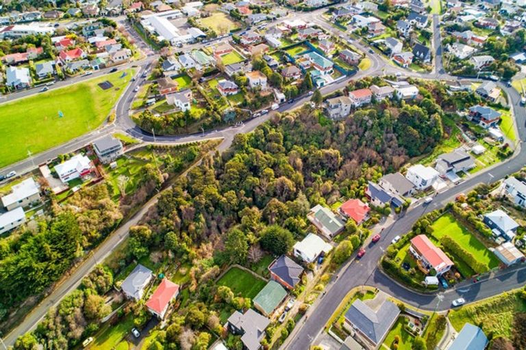 Photo of property in 115 Dunrobin Street, Waverley, Dunedin, 9013