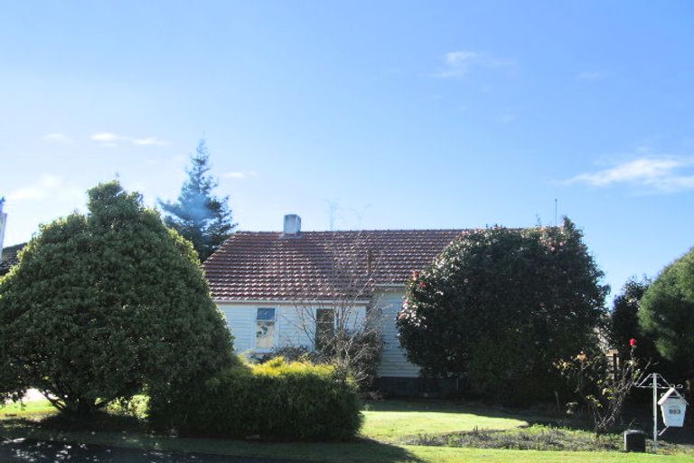 Photo of property in 903 Tamatea Place, Mahora, Hastings, 4120