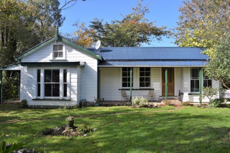 Photo of property in 45 Honi Taipua Street, Manakau, Levin, 5573