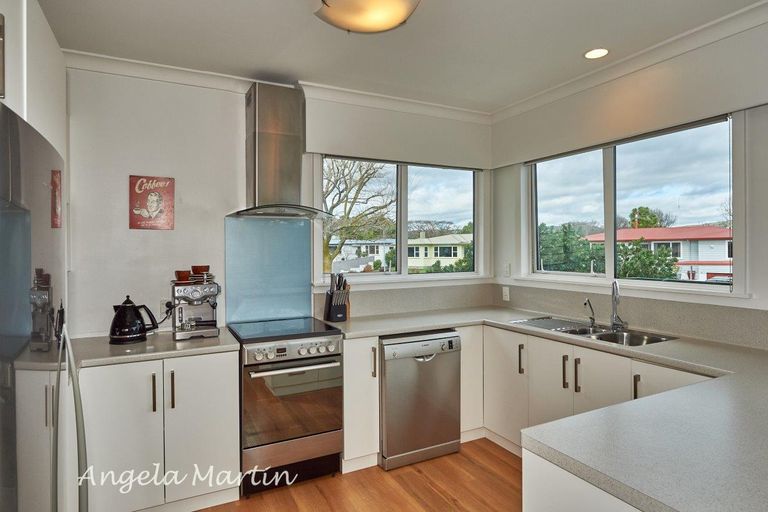 Photo of property in 19 Newcastle Street, Hokowhitu, Palmerston North, 4410