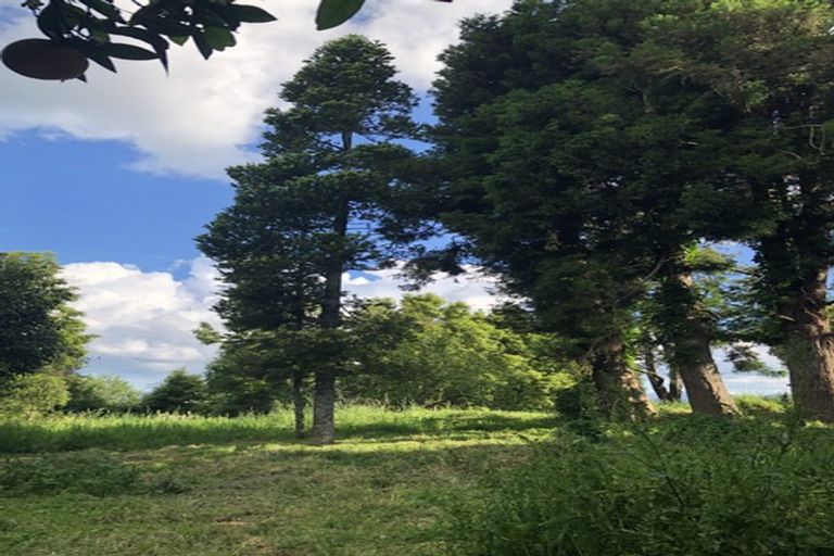 Photo of property in 8 Poland Street, Waikino, Waihi, 3682