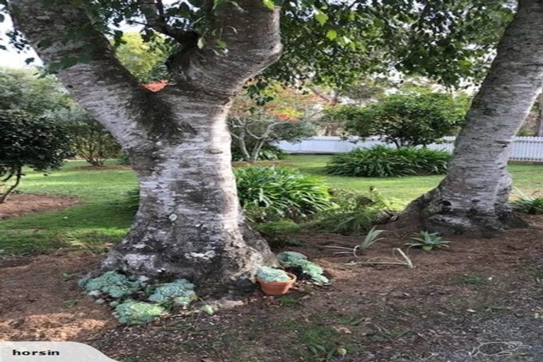 Photo of property in 16 Waitoki Road, Waitoki, Kaukapakapa, 0871