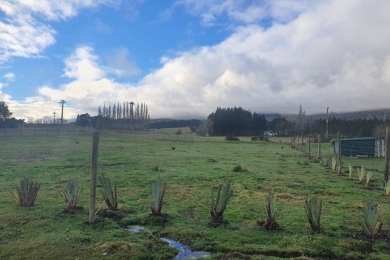 Photo of property in 32 Forest Street, Lumsden, 9730