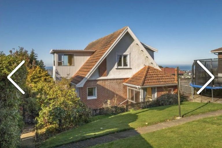 Photo of property in 17 Leven Street, Roslyn, Dunedin, 9010