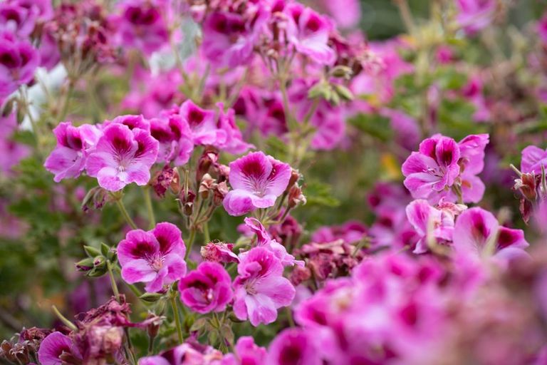 Photo of property in 43 Field Way, Waikanae Beach, Waikanae, 5036