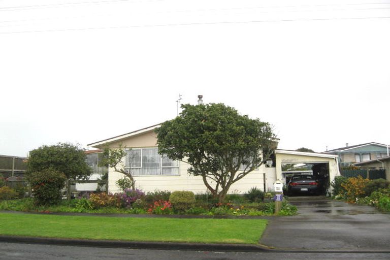 Photo of property in 60 Bayly Street, Waitara, 4320