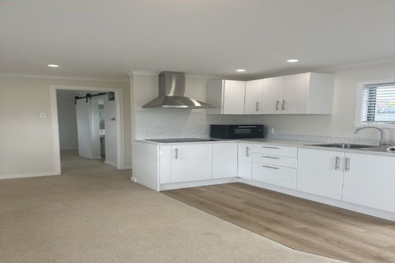 Photo of property in 311 Norton Road, Akina, Hastings, 4122