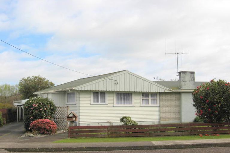 Photo of property in 45 Argyle Avenue, Levin, 5510