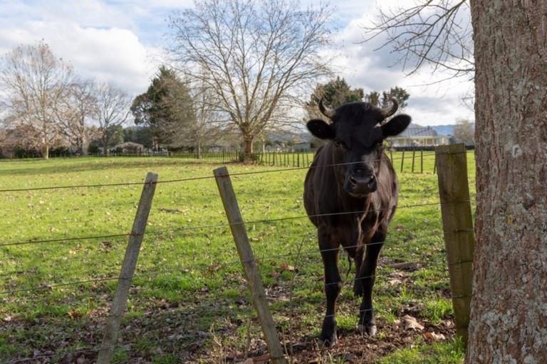 Photo of property in 262 Kawerau Road, Putauaki, Whakatane, 3192