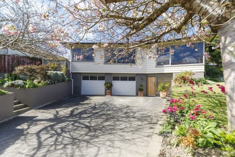 Photo of property in 38 Winston Avenue, Hokowhitu, Palmerston North, 4410