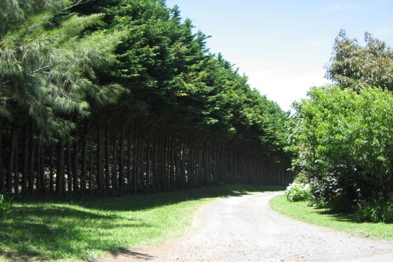 Photo of property in 31a Wallace Drive, Clarks Beach, Pukekohe, 2679