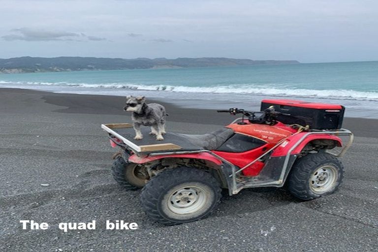 Photo of property in 16a Whangaimoana Beach Road, Whangaimoana, Featherston, 5772