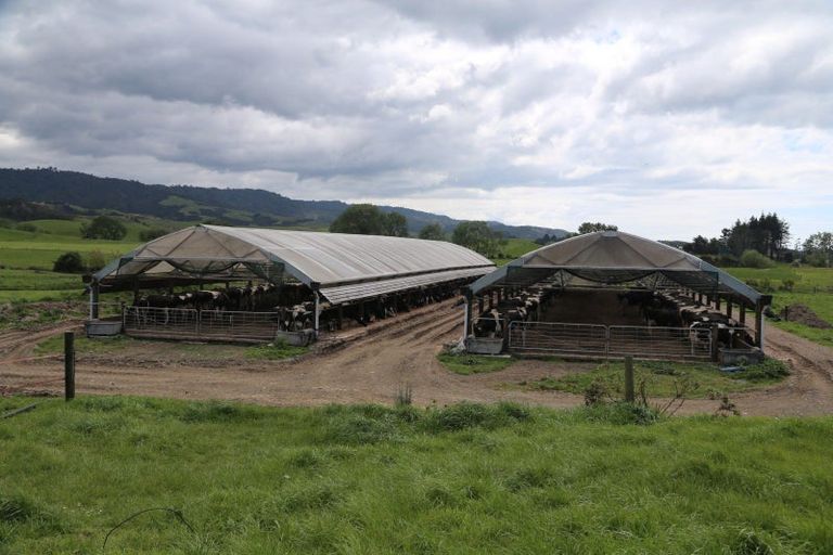 Photo of property in 1337 East Coast Road, Whakatiwai, Pokeno, 2473