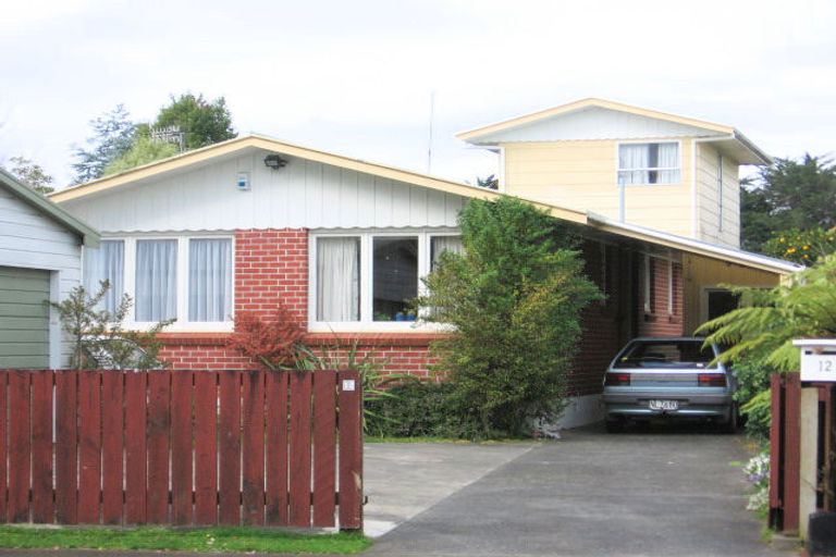 Photo of property in 12 Erin Street, Hokowhitu, Palmerston North, 4410