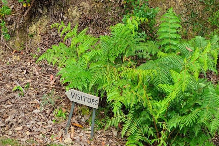 Photo of property in 4 Schoolhouse Bay Road, Kawau Island, 0920