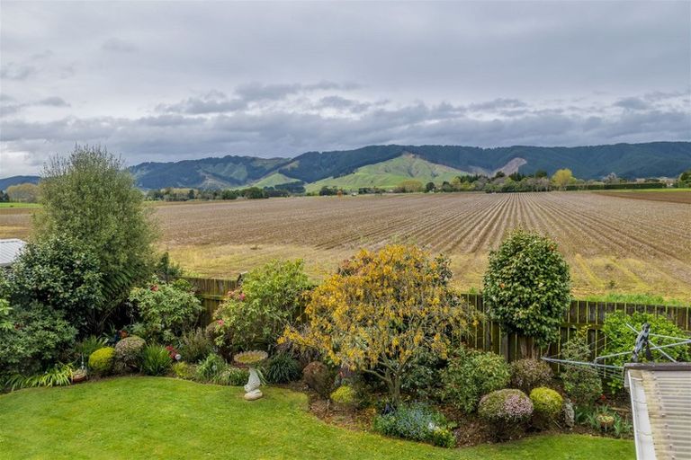 Photo of property in 18 Homewood Avenue, Levin, 5510