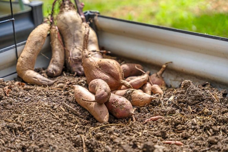 Photo of property in 5 Church Street, Aratapu, Dargaville, 0371