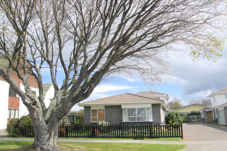 Photo of property in 25c Eason Street, Victoria, Rotorua, 3010