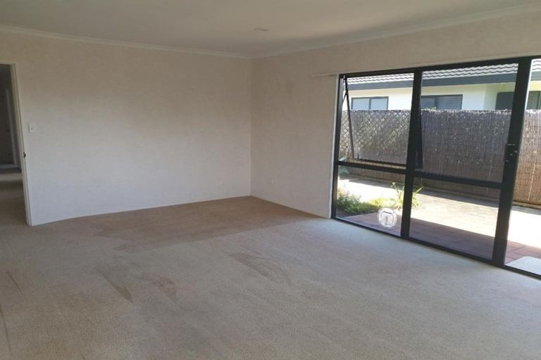 Photo of property in 41 Ngaio Street, Strandon, New Plymouth, 4312