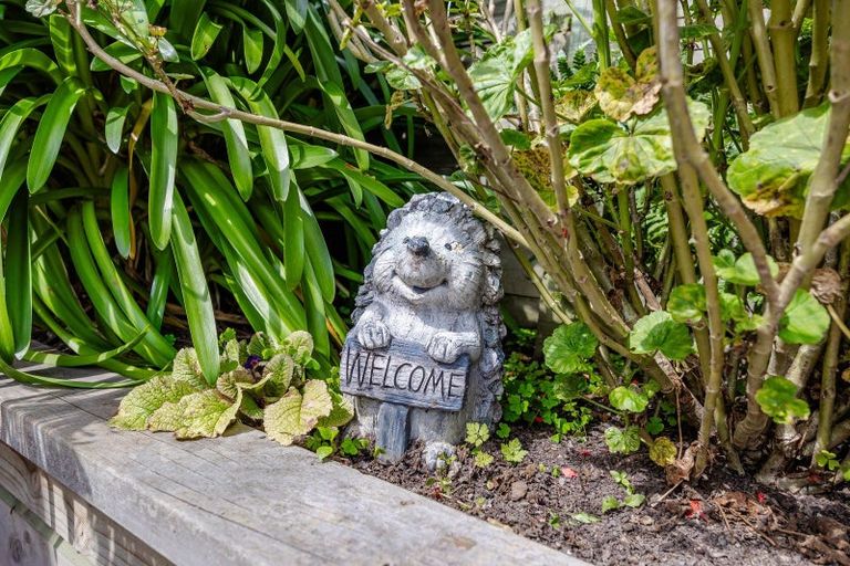 Photo of property in 5 Ajax Road, Port Chalmers, 9023