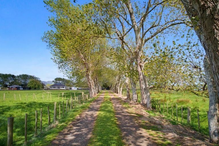 Photo of property in 138 Harris Road, Otaua, Waiuku, 2682