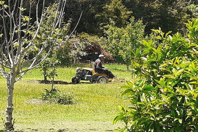 Photo of property in 39 Gangway Road, Totara North, Kaeo, 0479