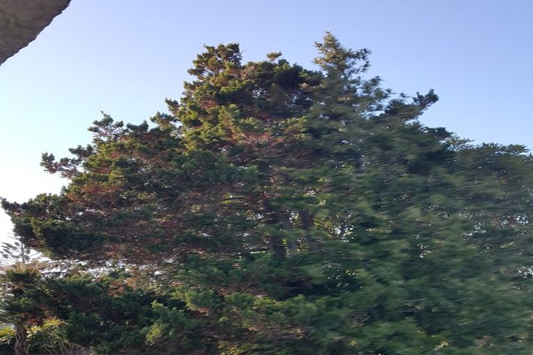 Photo of property in 9 Fowlers Avenue, Frankton, Hamilton, 3204