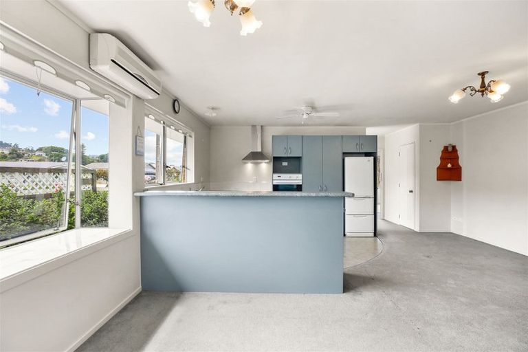 Photo of property in 209a Heale Street, Thames, 3500