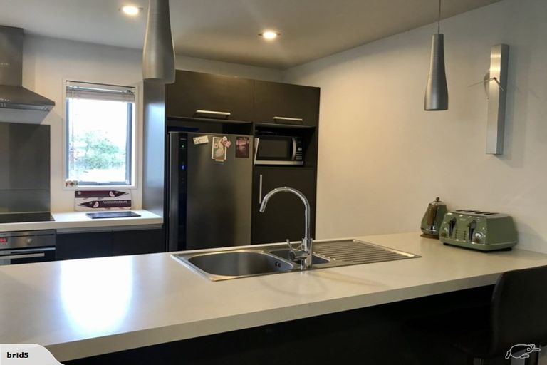 Photo of property in 161 Canon Street, Edgeware, Christchurch, 8013