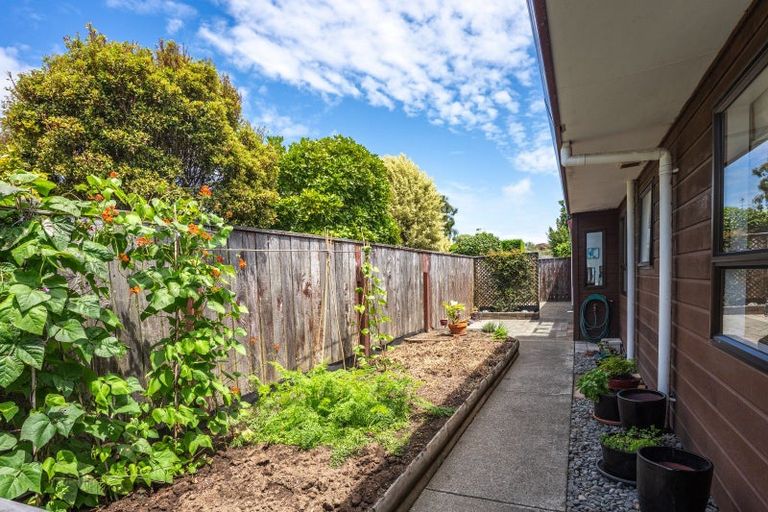 Photo of property in 66 Cedar Drive, Paraparaumu Beach, Paraparaumu, 5032