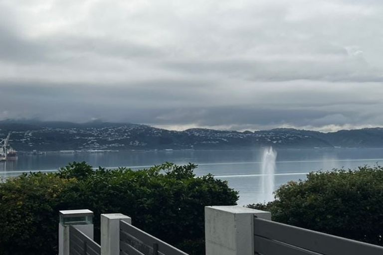 Photo of property in 5/20 Hay Street, Oriental Bay, Wellington, 6011