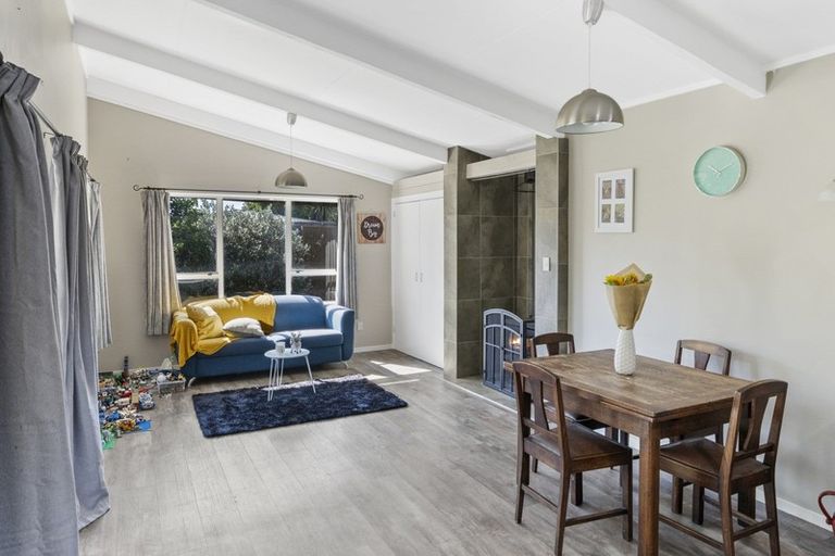 Photo of property in 58 Leefield Street, Blenheim, 7201