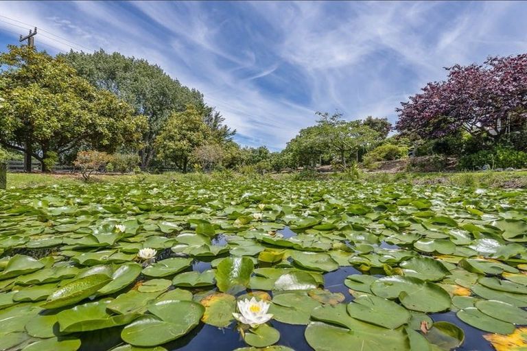 Photo of property in 75 Makora Road, Otaihanga, Paraparaumu, 5036