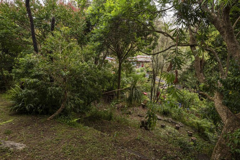 Photo of property in 42 Bedlington Street, Whau Valley, Whangarei, 0112