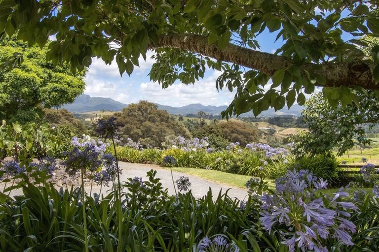 Photo of property in 80 Wainui Road South, Whakamarama, Katikati, 3181