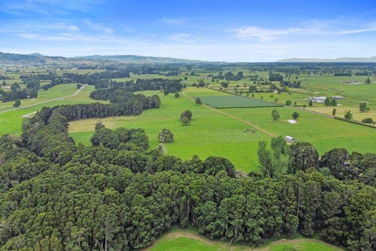 Photo of property in 728 Horrell Road, Morrinsville, 3374