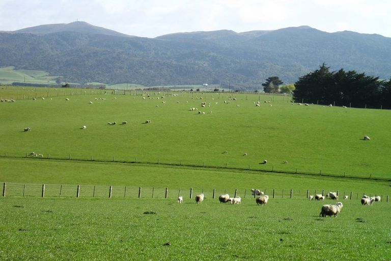 Photo of property in 353 Waimumu Road, Waimumu, Gore, 9774