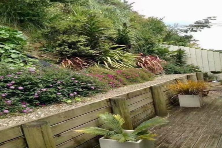 Photo of property in 13 Shirley Road, Grey Lynn, Auckland, 1021