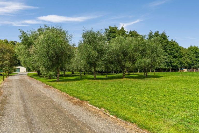 Photo of property in 347 Kuku Road East, Kuku, Levin, 5570