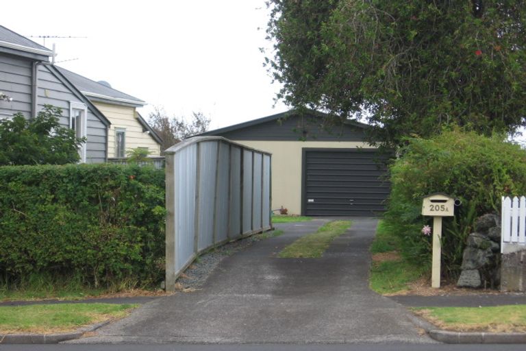Photo of property in 205 Mount Smart Road, Onehunga, Auckland, 1061