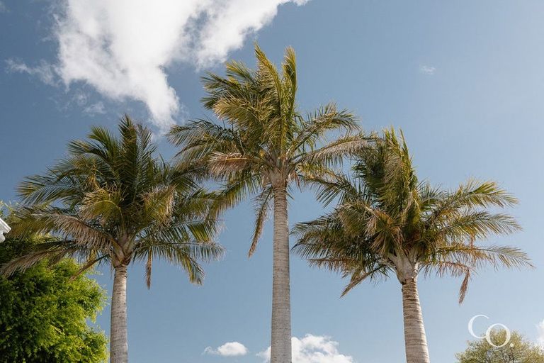 Photo of property in 89 Smiths Road, Matua, Tauranga, 3110