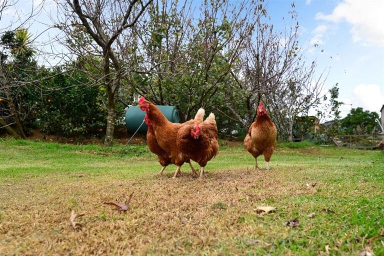 Photo of property in 31 Mareretu Avenue, Patumahoe, Pukekohe, 2679