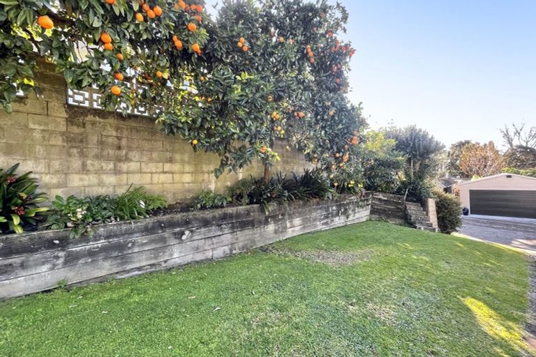 Photo of property in 134a Cameron Road, Te Puke, 3119